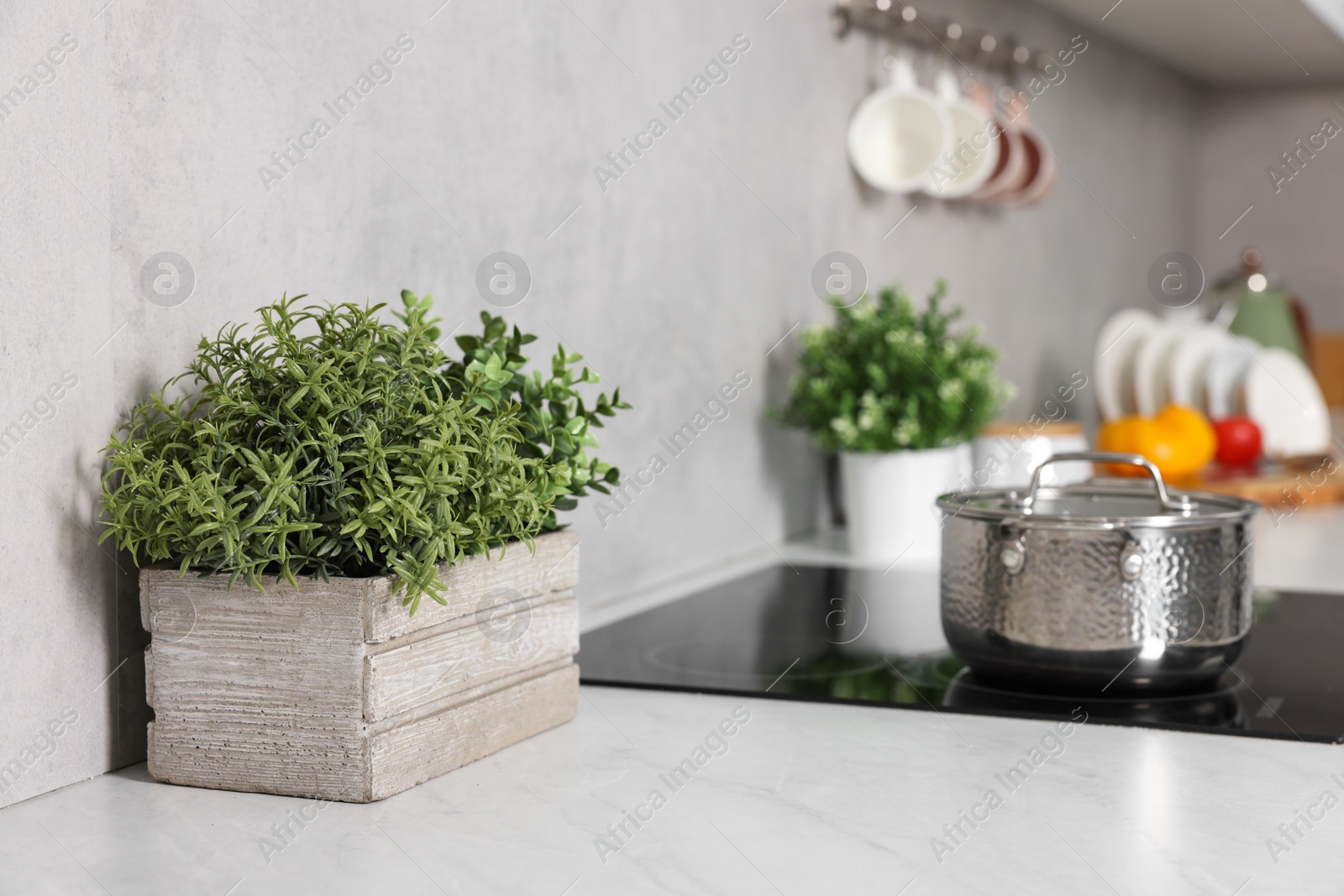 Photo of Potted artificial plants on white countertop in kitchen