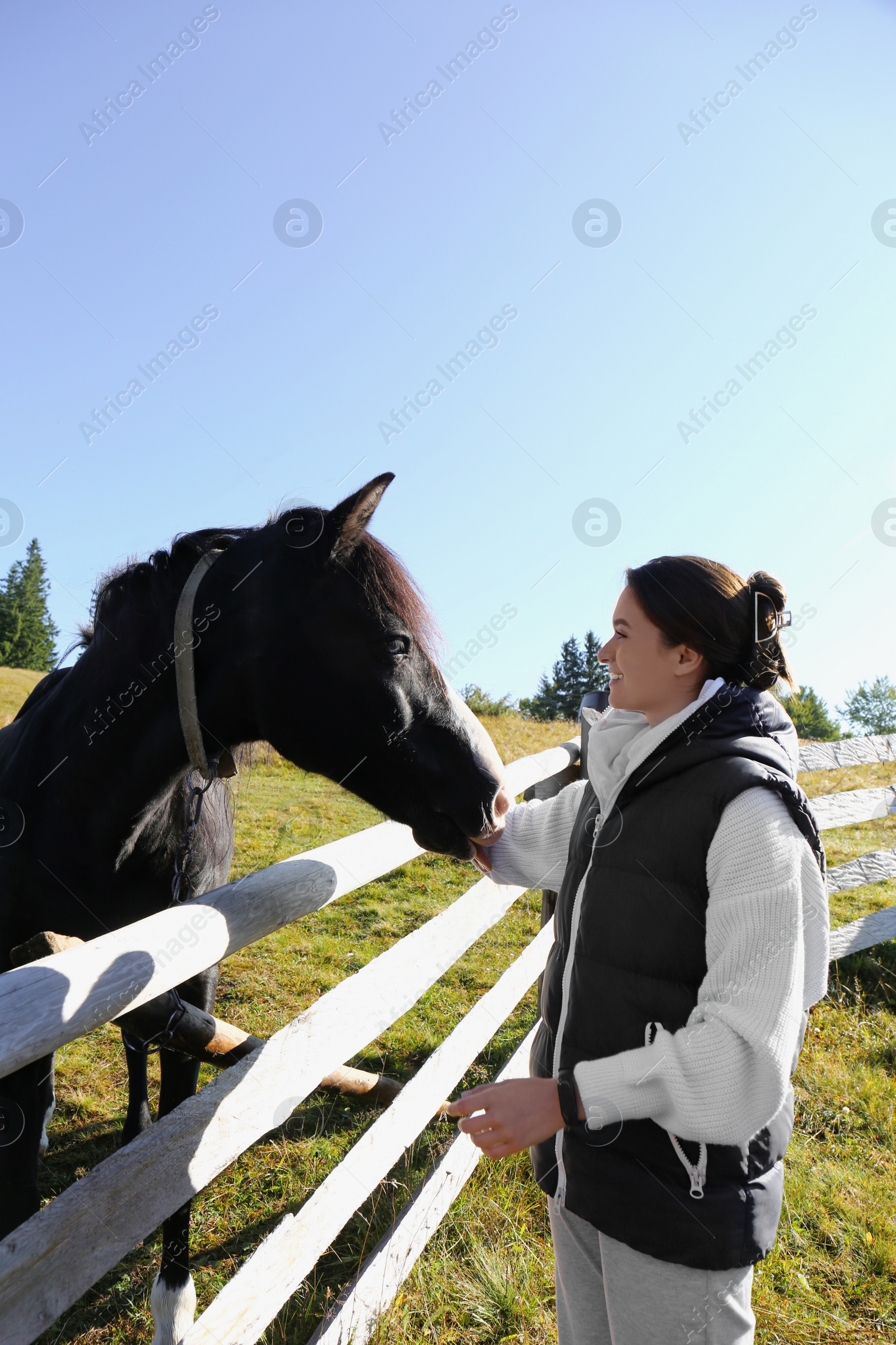 Photo of Woman stroking black horse near wooden fence outdoors. Beautiful pet