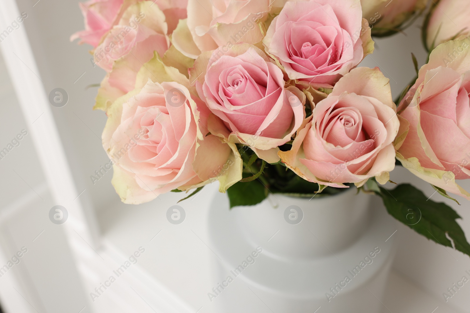 Photo of Beautiful rose flowers on shelf in room, above view and space for text. Interior design