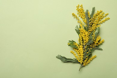 Photo of Beautiful mimosa flowers on green background, flat lay. Space for text