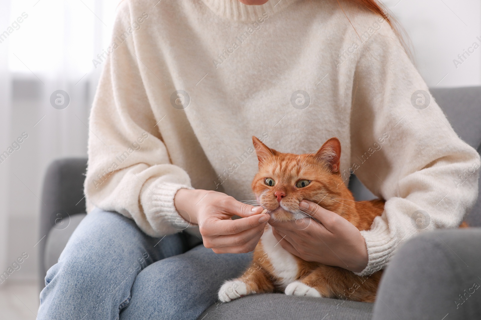 Photo of Woman giving vitamin pill to cute cat on sofa indoors, closeup