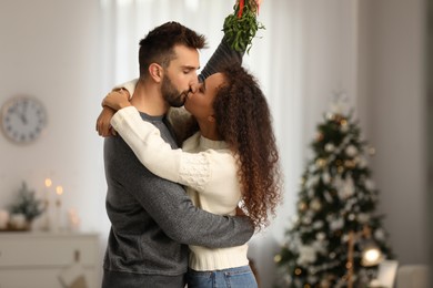 Happy couple kissing under mistletoe bunch in room decorated for Christmas