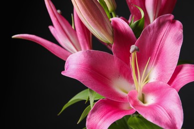 Photo of Beautiful pink lily flowers on black background, closeup