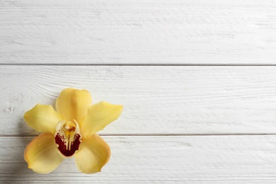 Photo of Beautiful tropical orchid flower on white wooden background, top view. Space for text