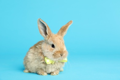 Photo of Adorable furry Easter bunny with cute bow tie on color background, space for text