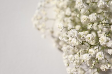 Photo of Beautiful gypsophila flower on beige background, closeup. Space for text