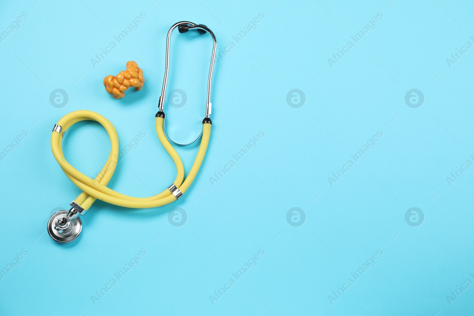 Photo of Endocrinology. Stethoscope and model of thyroid gland on light blue background, top view. Space for text