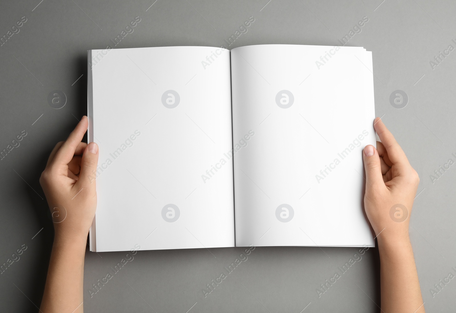 Photo of Woman holding brochure with blank pages on grey background, top view. Mock up for design