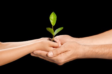 Photo of Man and his child holding soil with green plant in hands on black background. Family concept