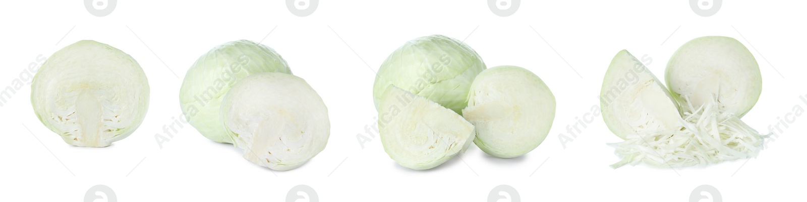 Image of Set of fresh ripe cabbages isolated on white background. Banner design