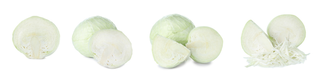 Set of fresh ripe cabbages isolated on white background. Banner design