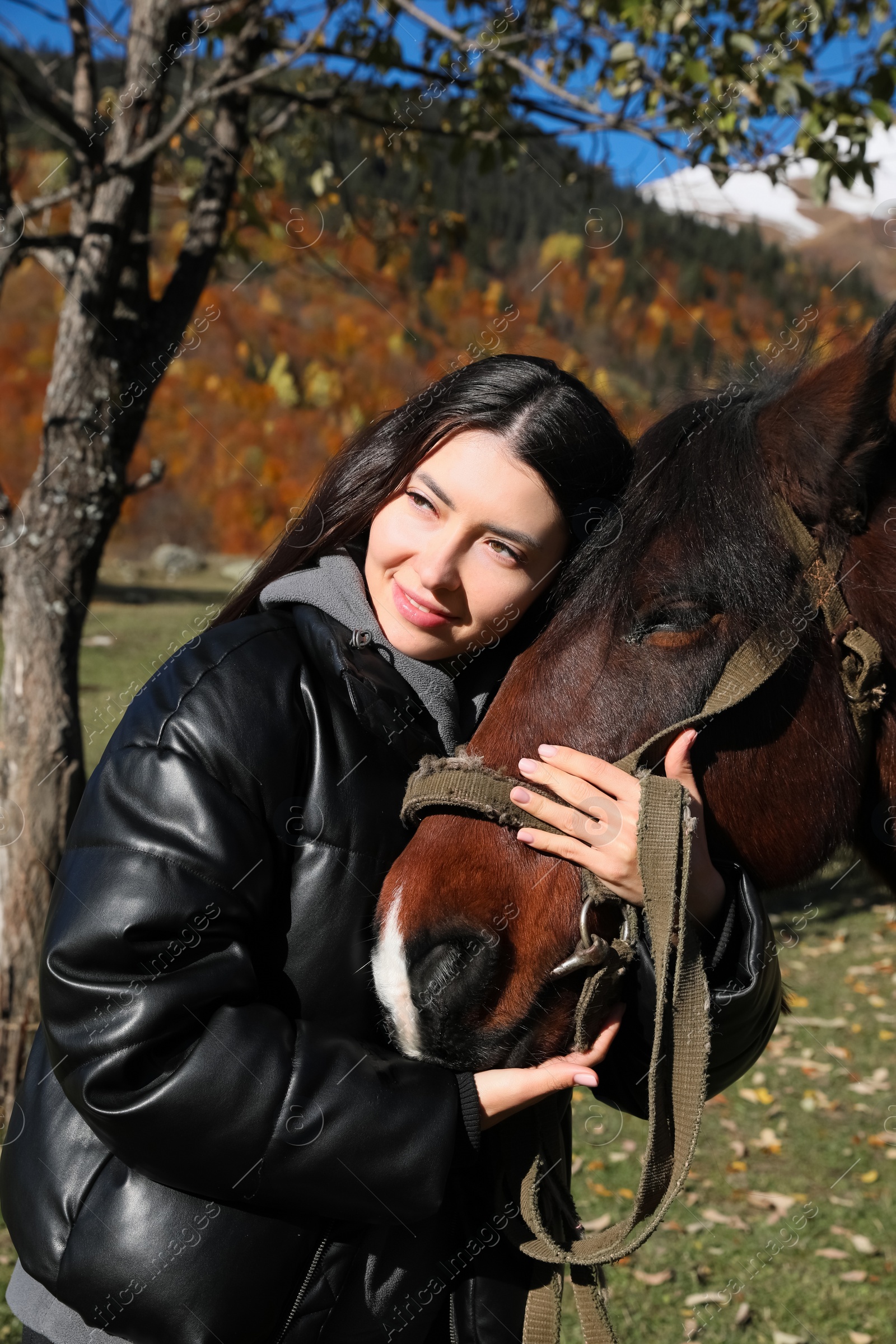 Photo of Young woman hugging horse in mountains on sunny day. Beautiful pet