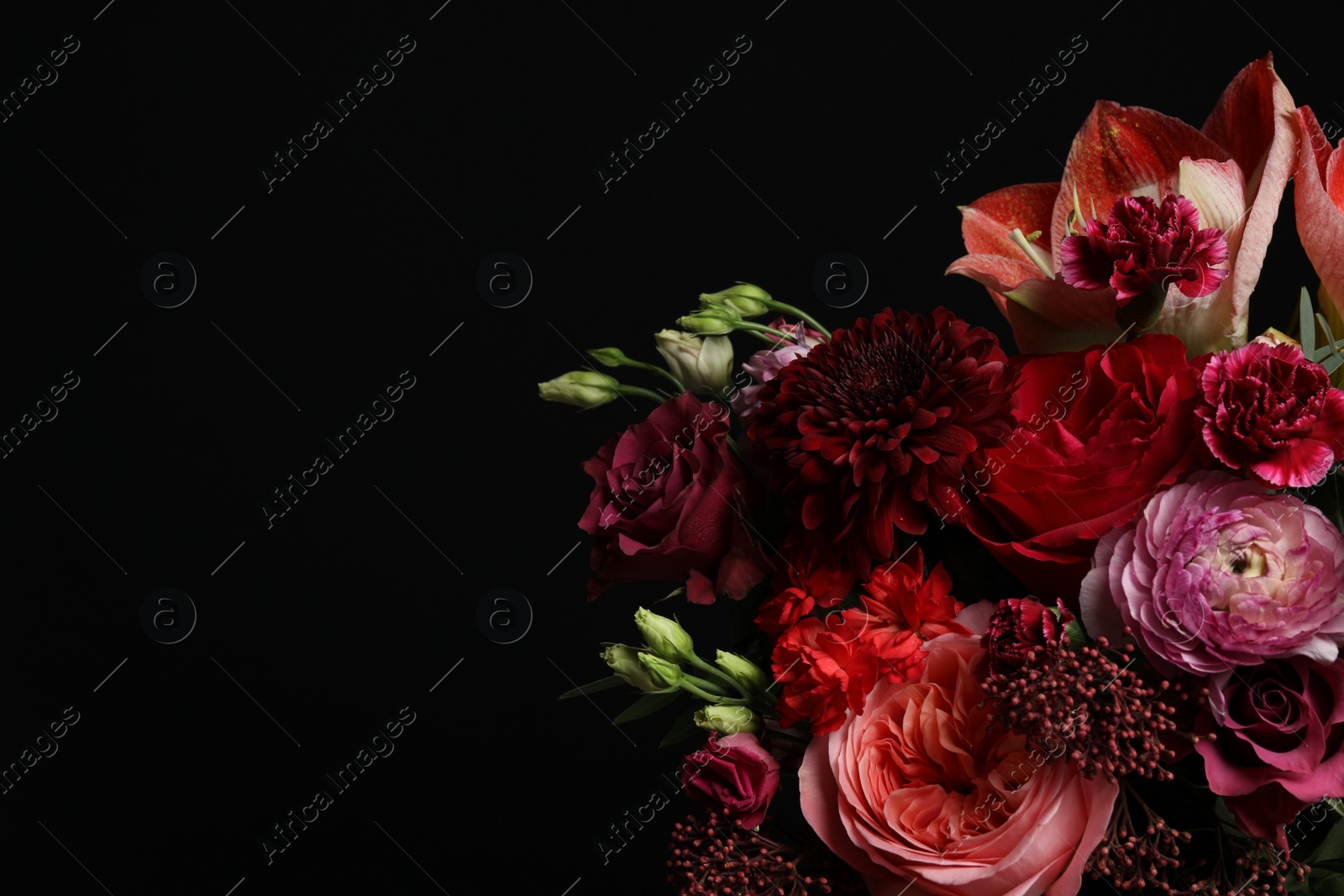 Photo of Beautiful fresh flowers on dark background, space for text