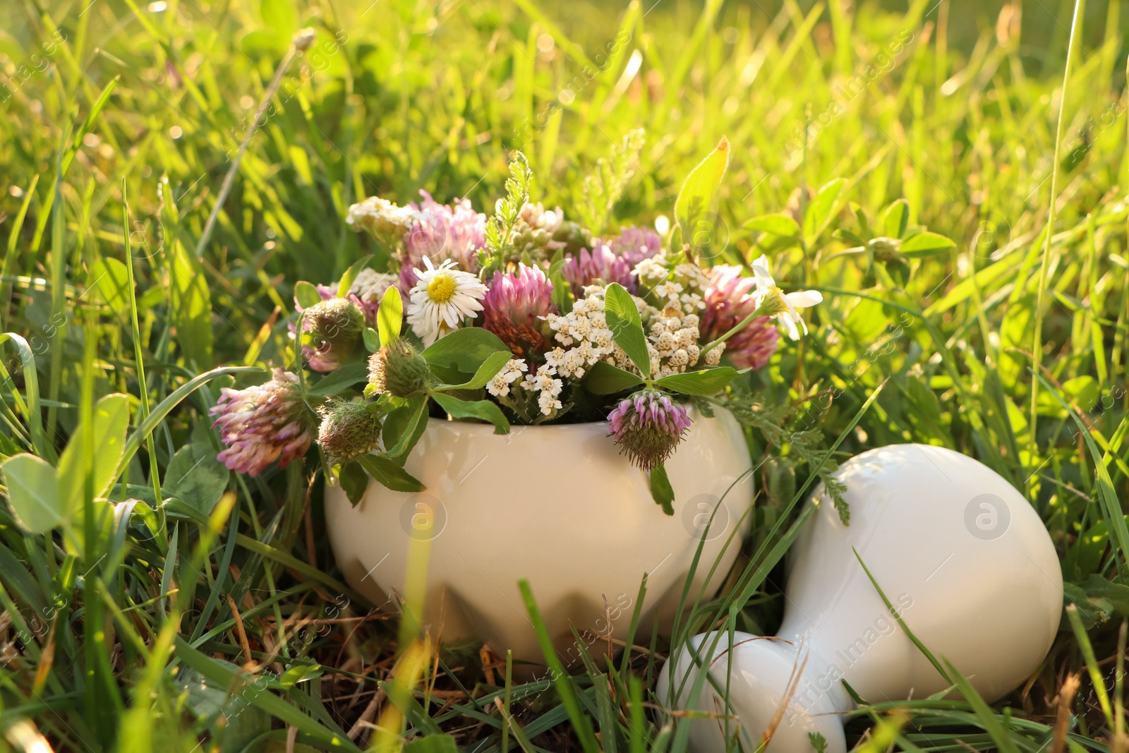 Photo of Ceramic mortar with pestle, different wildflowers and herbs in meadow on sunny day