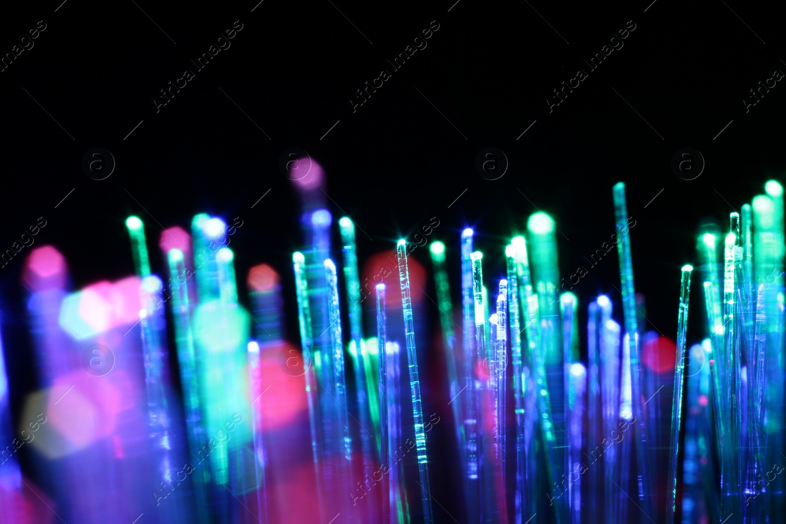 Photo of Optical fiber strands transmitting different color lights on black background, macro view