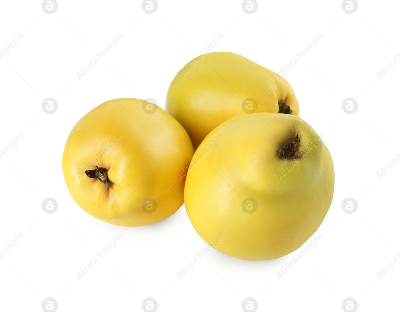 Photo of Delicious fresh ripe quinces isolated on white