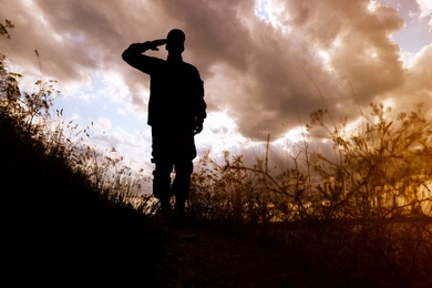 Soldier in uniform saluting outdoors. Military service