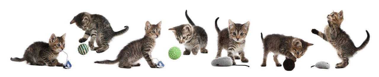 Image of Adorable kittens playing with toys on white background, collage. Lovely pet 