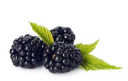 Fresh ripe juicy blackberries on white background