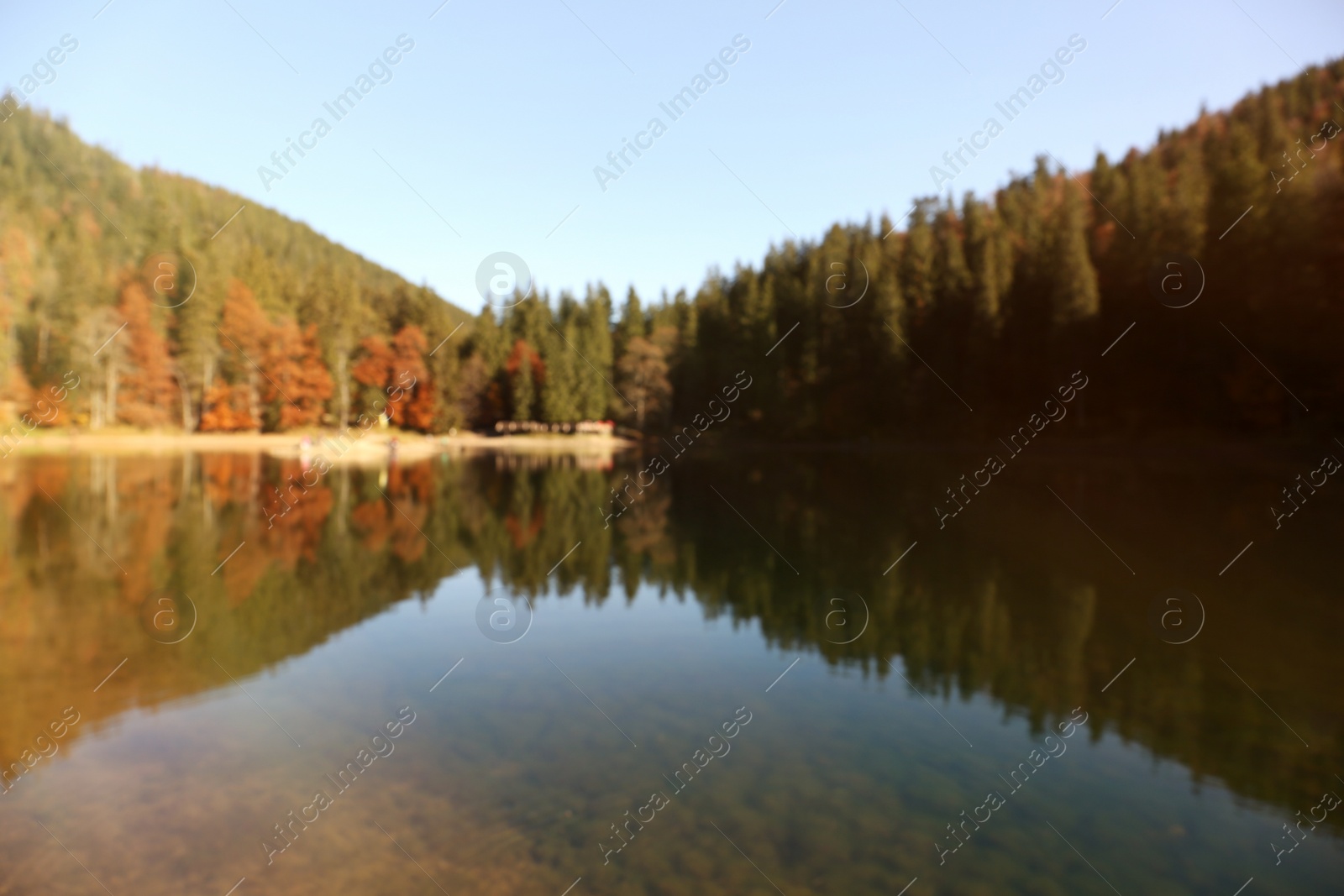 Photo of Beautiful mountain landscape with forest near water, blurred view