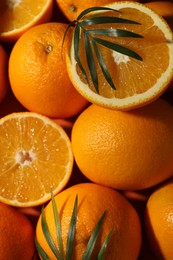 Photo of Tasty ripe fresh oranges and leaves as background, top view