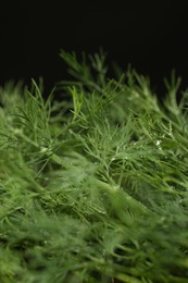 Photo of Fresh green dill on black background, closeup