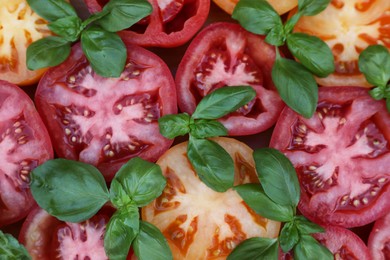 Photo of Cut tomatoes of different sorts with basil as background, top view