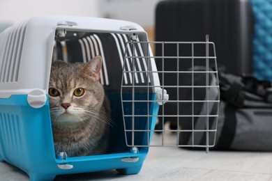 Travel with pet. Cute cat in carrier indoors