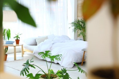 Bedroom interior with indoor plants. Trendy home decor