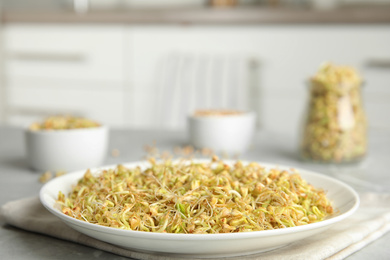 Plate of sprouted green buckwheat on light grey table, closeup