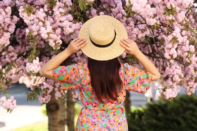 Photo of Woman in straw hat near blossoming tree on spring day, back view