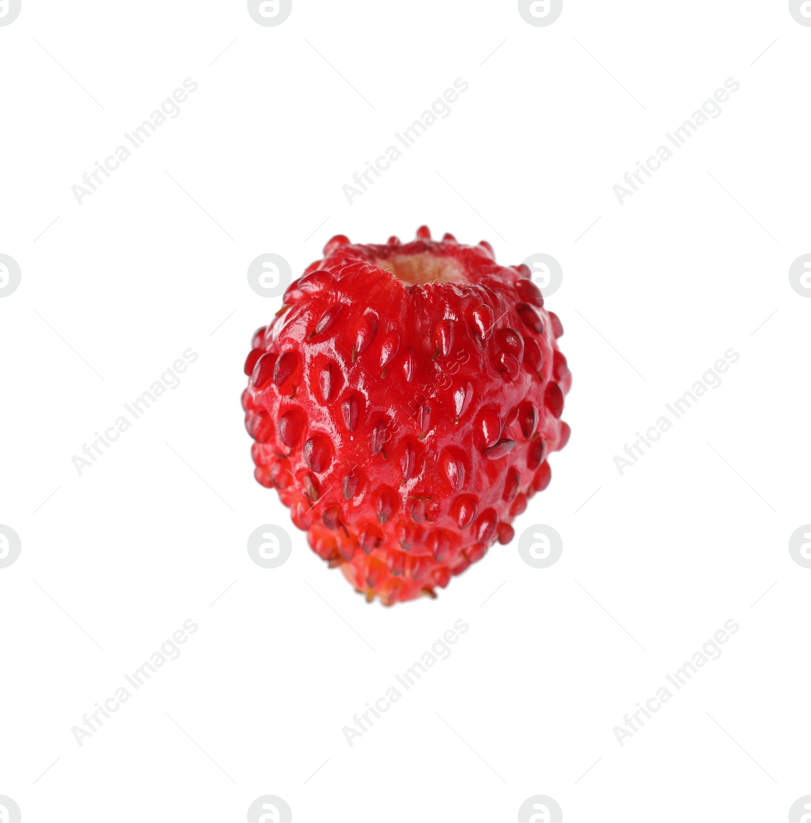 Photo of One ripe wild strawberry isolated on white