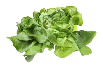 Fresh green butter lettuce head isolated on white