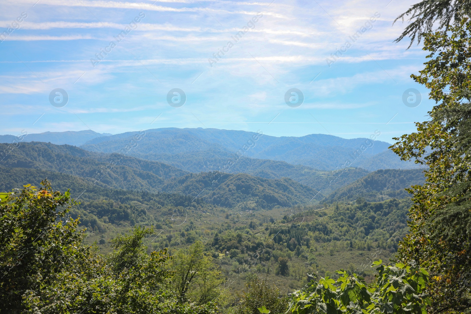 Photo of Beautiful mountain landscape with forest on sunny day