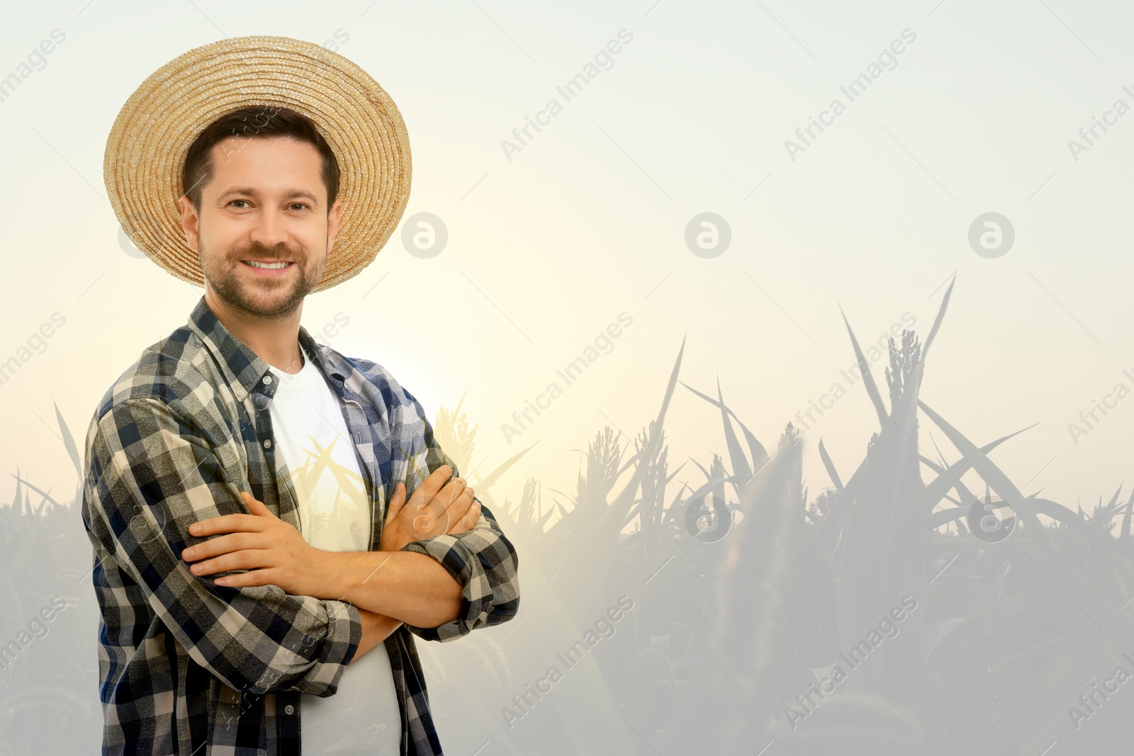 Image of Double exposure of happy farmer and wheat field. Space for text