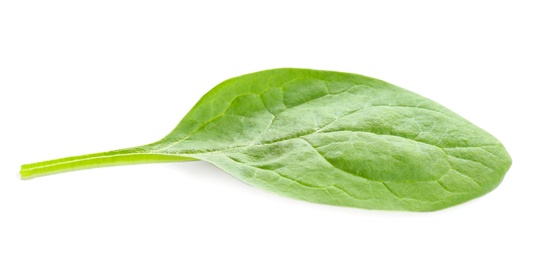 Photo of Fresh green healthy baby spinach leaf isolated on white