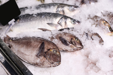 Fresh raw fish with ice in supermarket