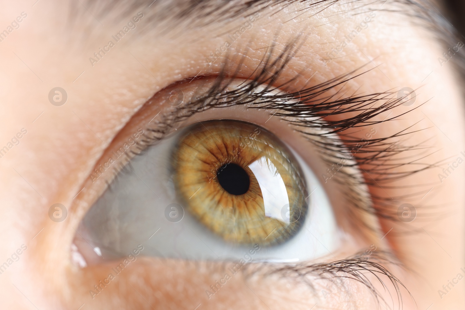 Photo of Macro photo of woman with beautiful eyes