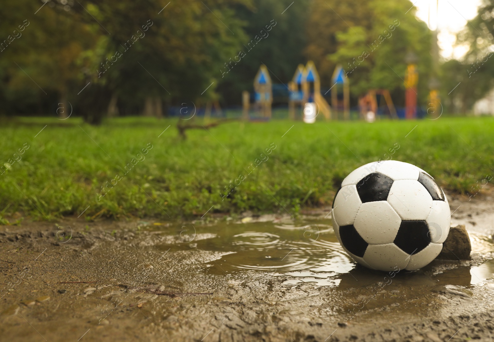 Photo of Leather soccer ball in puddle outdoors, space for text