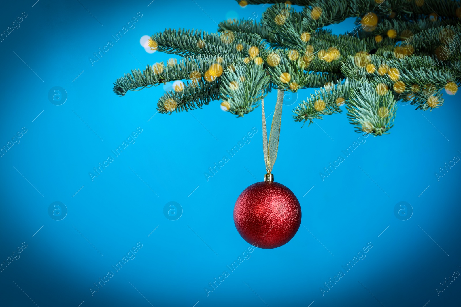 Photo of Beautiful Christmas ball hanging on fir tree branch against light blue background, bokeh effect. Space for text