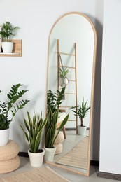 Photo of Stylish full length mirror and houseplants near white wall in room