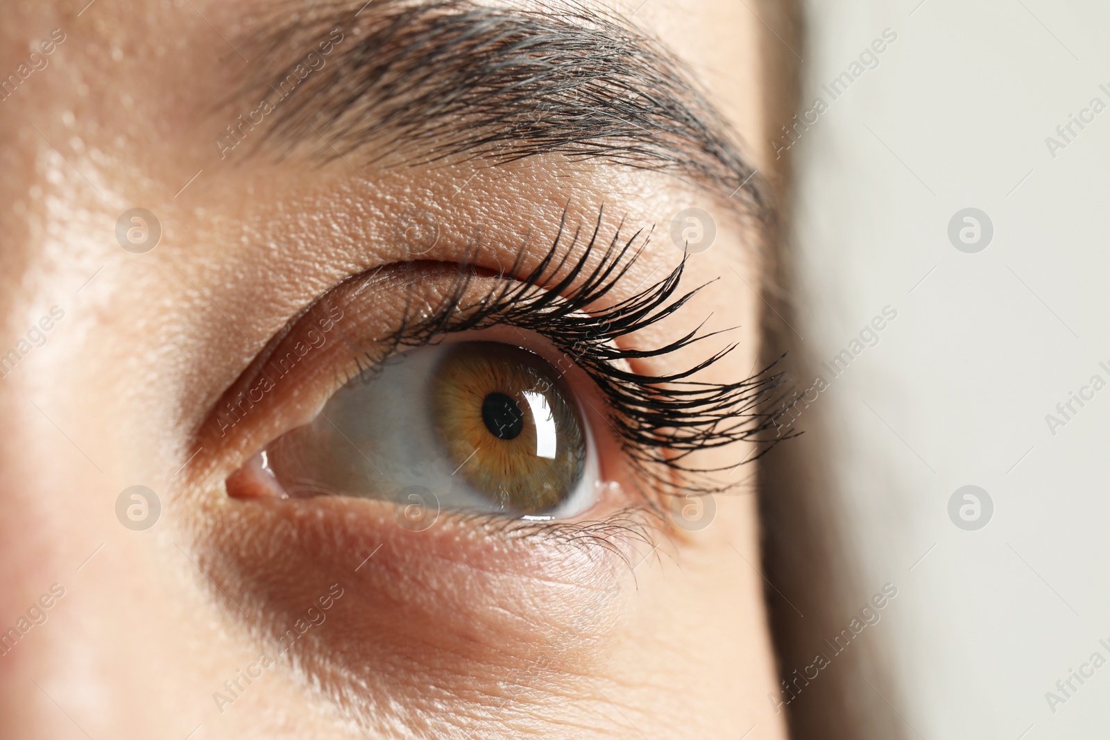 Photo of Macro photo of woman with beautiful eyes on light background