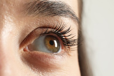 Photo of Macro photo of woman with beautiful eyes on light background