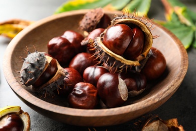 Horse chestnuts in wooden bowl on table, closeup view
