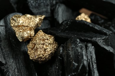 Photo of Shiny gold nuggets on coal, closeup. Space for text
