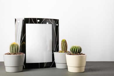 Different cacti in pots and empty frame on gray wooden table