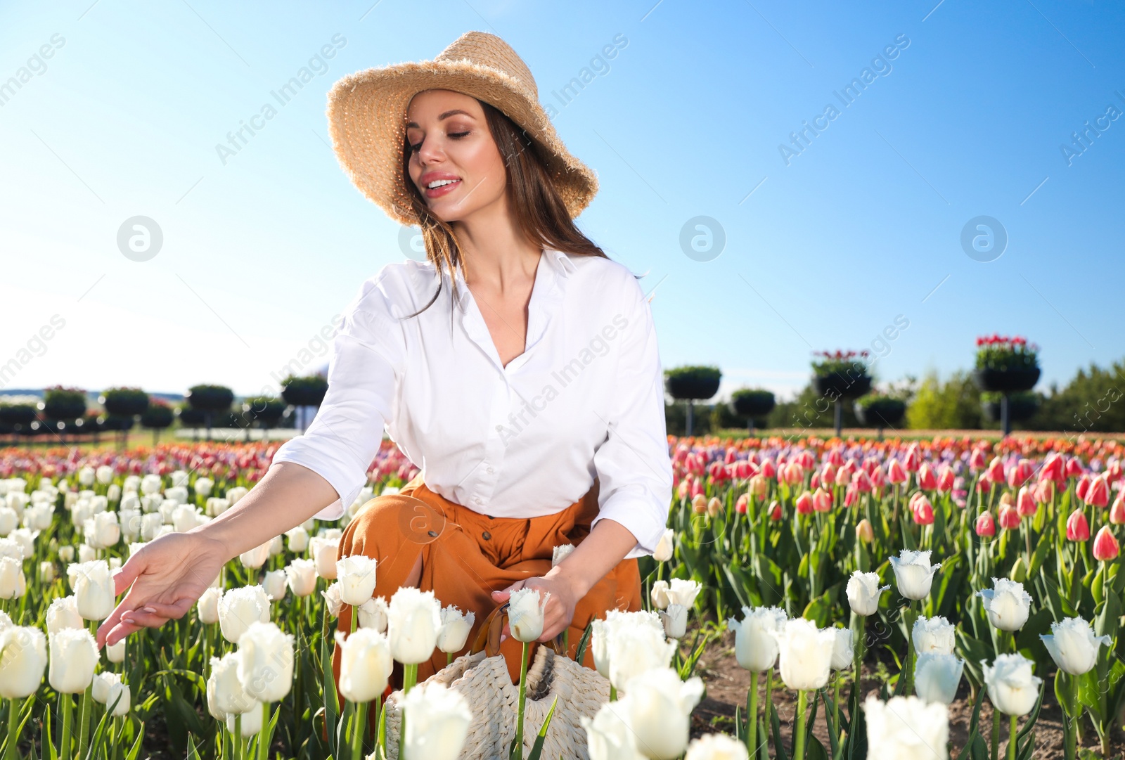 Photo of Woman in beautiful tulip field on sunny day