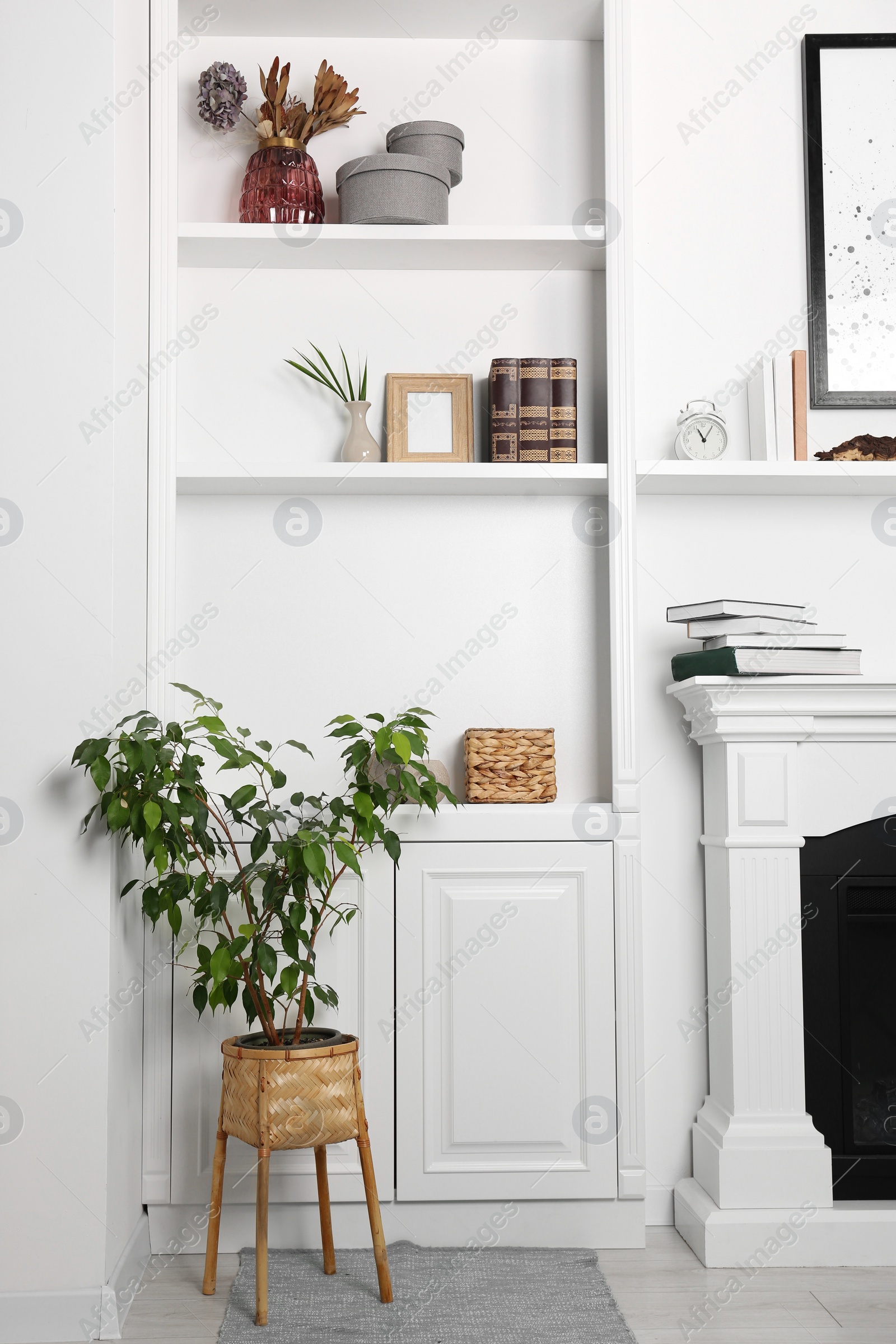 Photo of White shelving unit with houseplant and different decor elements in room. Interior design