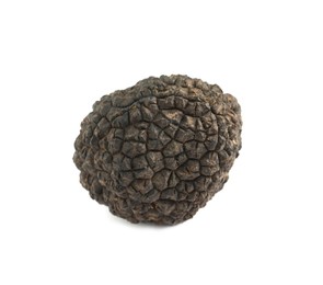 Photo of One whole black truffle isolated on white