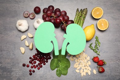 Flat lay composition with paper cutout of kidneys and different products on grey table